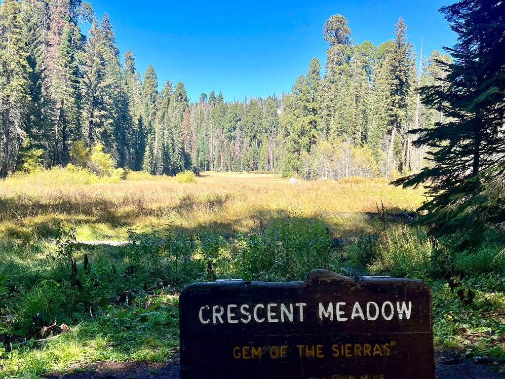 Crescent Meadow